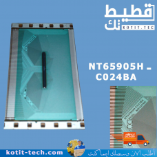 (RM9216DFJ-0FP) NT65905H-C024BA           